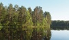sjø og skog 2554307