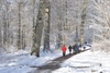 Ill.foto: På tur i vinterlandskap