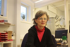 Kari Kristiansen Herre
