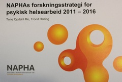 Naphas Forskningsstrategi (Foto: Roald Lund Fleiner)